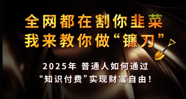 全网都在割你韭菜，我来教你做镰刀，2025年普通人如何通过 知识付费 实现财F自由【揭秘】-黑鲨创业网