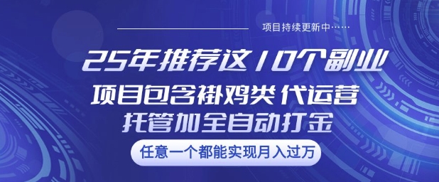 25年推荐这10个副业项目包含褂鸡类、代运营托管类、全自动打金类【揭秘】-黑鲨创业网