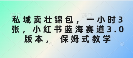 私域卖壮锦包，一小时3张，小红书蓝海赛道3.0版本， 保姆式教学-黑鲨创业网