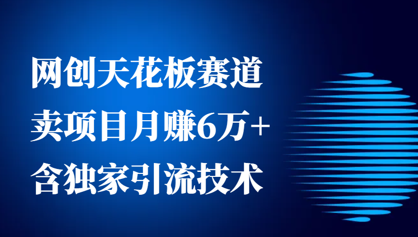 网创天花板赛道，卖项目月赚6万+，含独家引流技术(共26节课)-黑鲨创业网