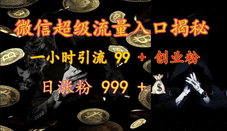 微信超级流量入口揭秘：一小时引流 99 + 创业粉，日涨粉 999 +-黑鲨创业网