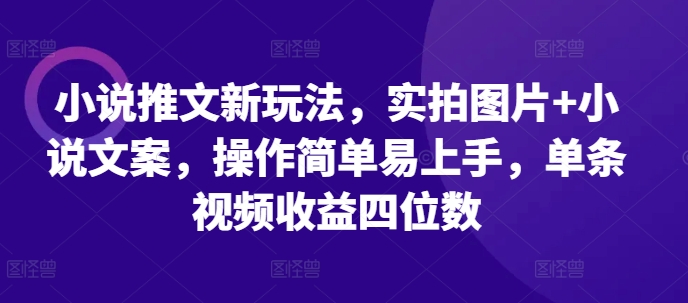 小说推文新玩法，实拍图片+小说文案，操作简单易上手，单条视频收益四位数-黑鲨创业网