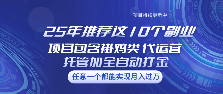 25年推荐这10个副业 项目包含褂鸡类、代运营托管类、全自动打金类-黑鲨创业网