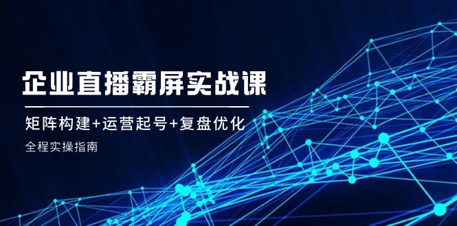 企业直播霸屏实战课：矩阵构建+运营起号+复盘优化，全程实操指南-黑鲨创业网