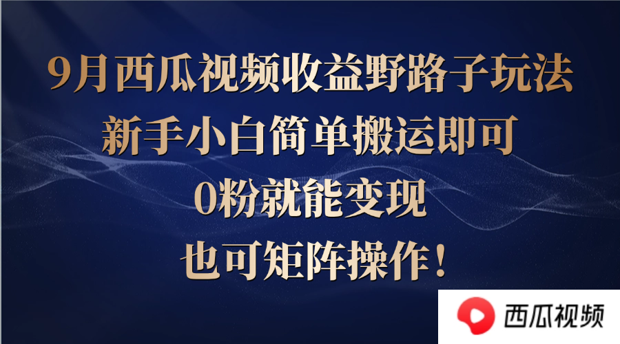 西瓜视频收益野路子玩法，新手小白简单搬运即可，0粉就能变现，也可矩…-黑鲨创业网