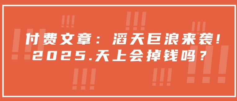 付费文章：滔天巨浪来袭！2025天上会掉钱吗？-黑鲨创业网