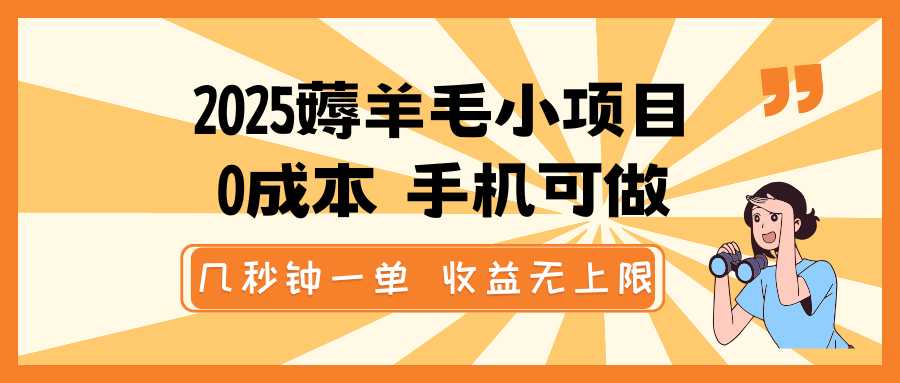 2025薅羊毛小项目，0成本 手机可做，几秒钟一单，收益无上限-黑鲨创业网