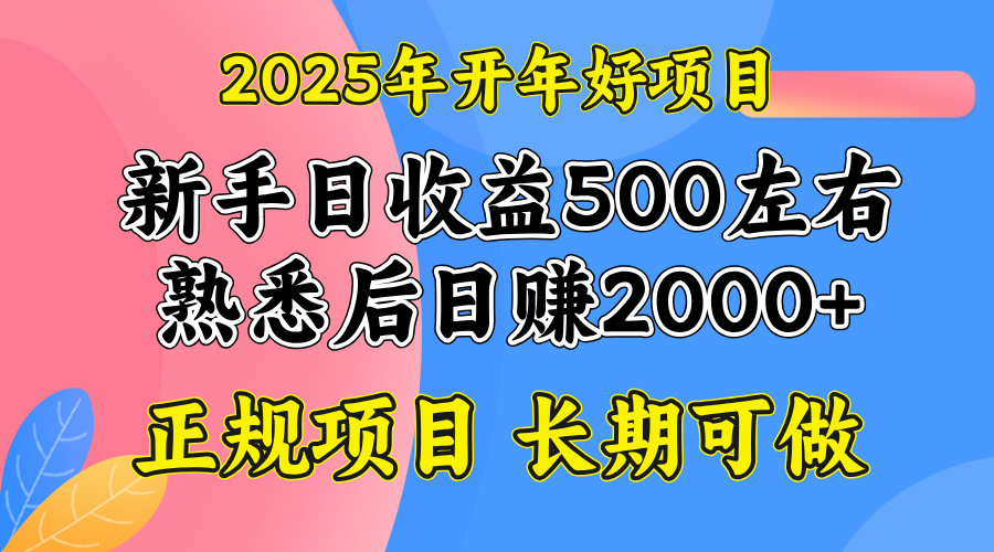 2025开年好项目，单号日收益2000左右-黑鲨创业网