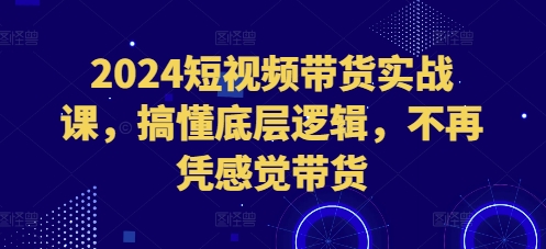 2024短视频带货实战课，搞懂底层逻辑，不再凭感觉带货-黑鲨创业网