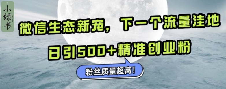 微信生态新宠小绿书：下一个流量洼地，日引500+精准创业粉，粉丝质量超高-黑鲨创业网