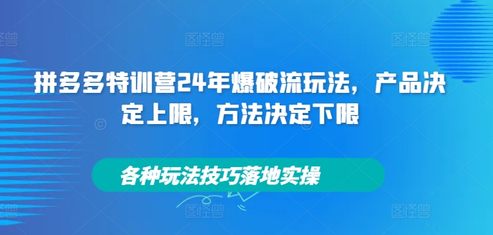 拼多多特训营24年爆破流玩法，产品决定上限，方法决定下限，各种玩法技巧落地实操-黑鲨创业网