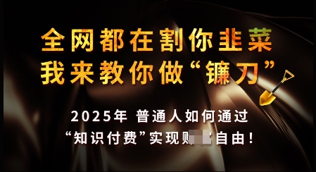 知识付费如何做到月入过W+，2025我来教你做“镰刀”【揭秘】-黑鲨创业网