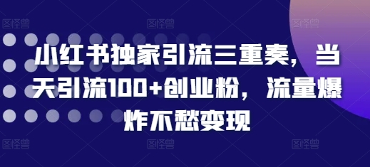 小红书独家引流三重奏，当天引流100+创业粉，流量爆炸不愁变现【揭秘】-黑鲨创业网