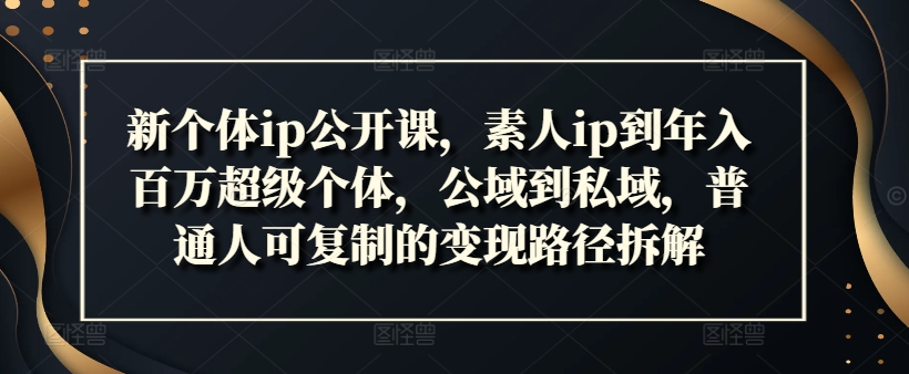 新个体ip公开课，素人ip到年入百万超级个体，公域到私域，普通人可复制的变现路径拆解-黑鲨创业网