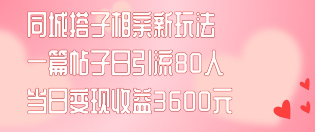 同城搭子相亲新玩法一篇帖子引流80人当日变现3600元(项目教程+实操教程)【揭秘】-黑鲨创业网