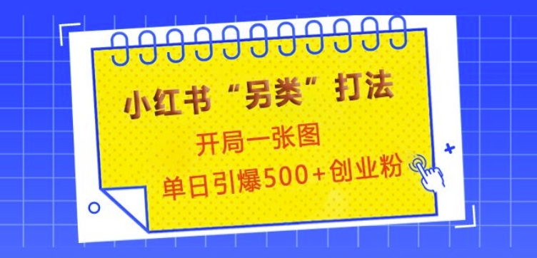 小红书“另类”打法，开局一张图，单日引爆500+精准创业粉【揭秘】-黑鲨创业网