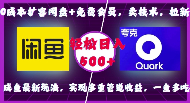 0成本扩容网盘+免费会员，卖技术，拉新，咸鱼最新玩法，实现多重管道收益，一鱼多吃，轻松日入500+-黑鲨创业网