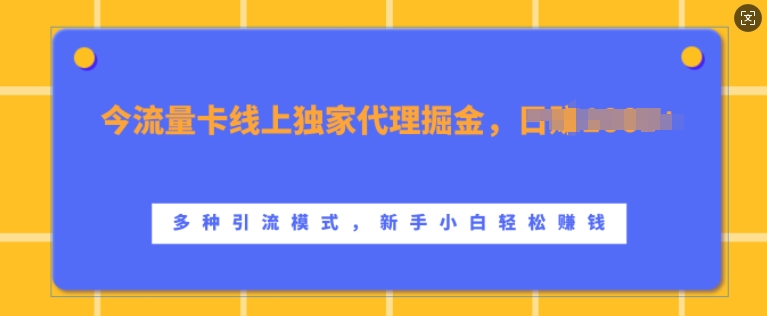 流量卡线上独家代理掘金，日入1k+ ，多种引流模式，新手小白轻松上手【揭秘】-黑鲨创业网