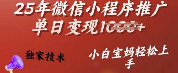 25年微信小程序推广单日变现多张，独家技术，小白宝妈轻松上手【揭秘】-黑鲨创业网