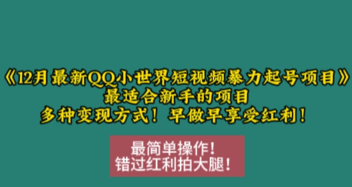 12月最新QQ小世界短视频暴力起号项目，最适合新手的项目，多种变现方式-黑鲨创业网