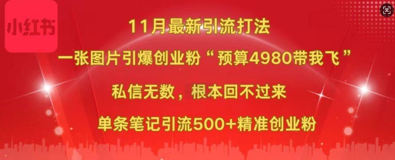 小红书11月最新图片打粉，一张图片引爆创业粉，“预算4980带我飞”，单条引流500+精准创业粉-黑鲨创业网