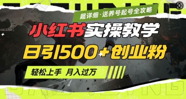 2月小红书最新日引500+创业粉实操教学【超详细】小白轻松上手，月入1W+，附小红书养号起号SOP-黑鲨创业网