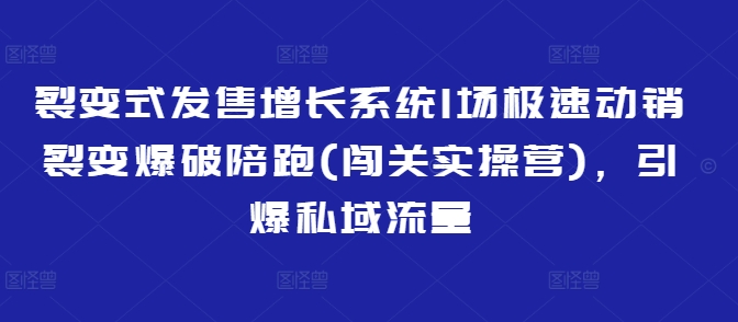 裂变式发售增长系统1场极速动销裂变爆破陪跑(闯关实操营)，引爆私域流量-黑鲨创业网