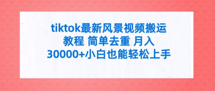 tiktok最新风景视频搬运教程 简单去重 月入3W+小白也能轻松上手【揭秘】-黑鲨创业网