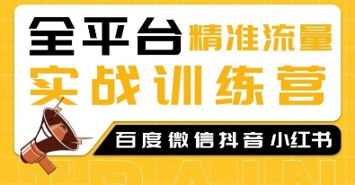 全平台精准流量实战训练营，百度微信抖音小红书SEO引流教程-黑鲨创业网